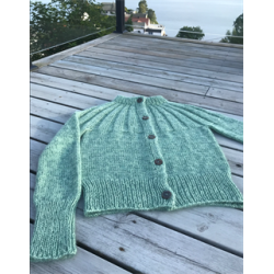 Shepherd's Worsted farge MINT